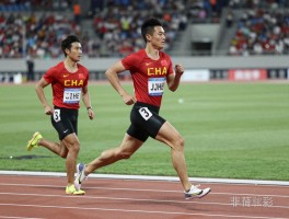 发福的球员,为何球星退役后迅速发福,运动员发福有哪些健康风险,如何科学管理体重