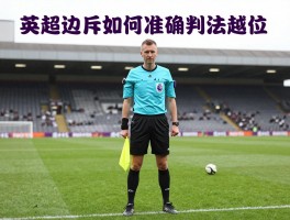 英超边裁如何准确判罚越位,边裁旗语详解,英超边裁职业发展路径