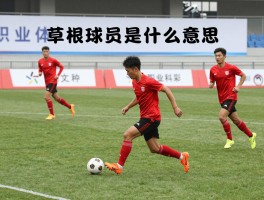 草根球员是什么意思,如何成为职业球员,成功案例如有哪些