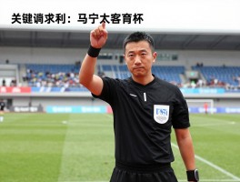 马宁有利进攻世界杯吗,马宁2026世界杯执法前景如何,亚洲裁判名额分配情况