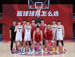 篮球球队怎么选,如何了解球队文化,球队历史重要吗