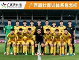 广西威壮球员资料,球队阵容如何,核心球员有谁,青训体系怎么样