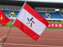 边裁旗售卖丨哪里买专业边裁旗,边裁旗怎么选,价格多少