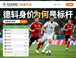 球员身价查询,如何准确定义,权威平台有哪些,德转身价为何是标杆