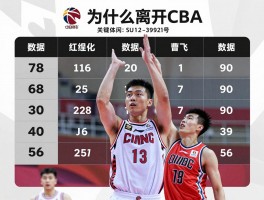 篮球曹飞,他为什么离开CBA,职业生涯数据如何,现在在做什么