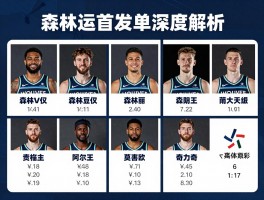 森林狼队球员名单深度解析,新赛季首发阵容如何,能否突破西决天花板