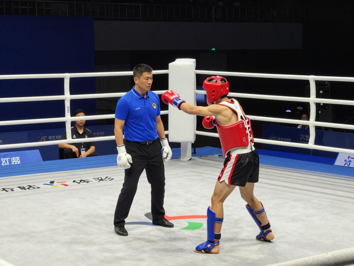 散打边裁怎么给分,评分标准是什么,如何判断击中有效,判罚依据有哪些 散打边裁怎么给分,评分标准是什么,如何判断击中有效,判罚依据有哪些