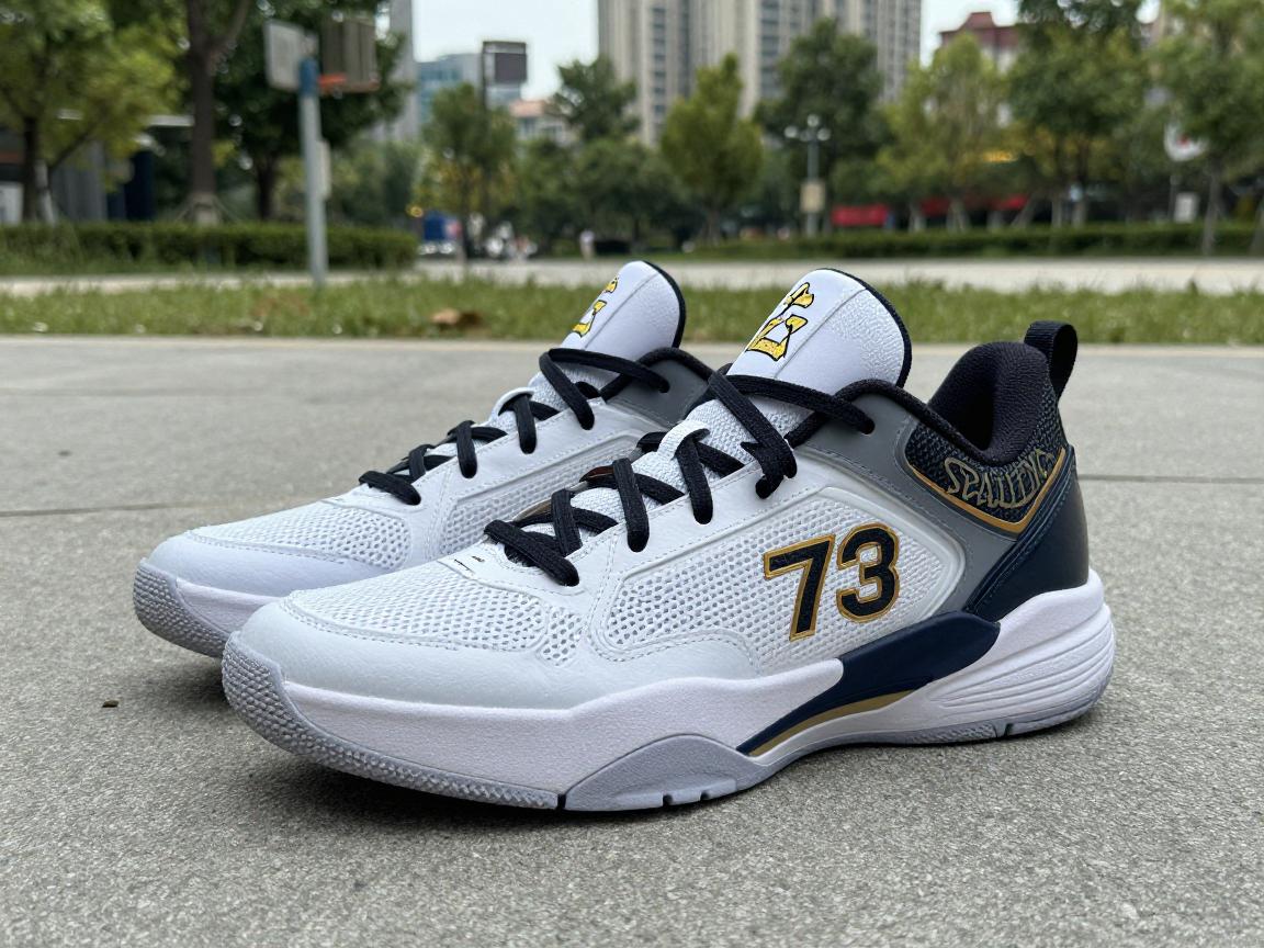 街头篮球73,斯伯丁TF-33是否适合室外,73分传奇如何炼成,街头篮球文化有何价值 街头篮球73,斯伯丁TF-33是否适合室外,73分传奇如何炼成,街头篮球文化有何价值